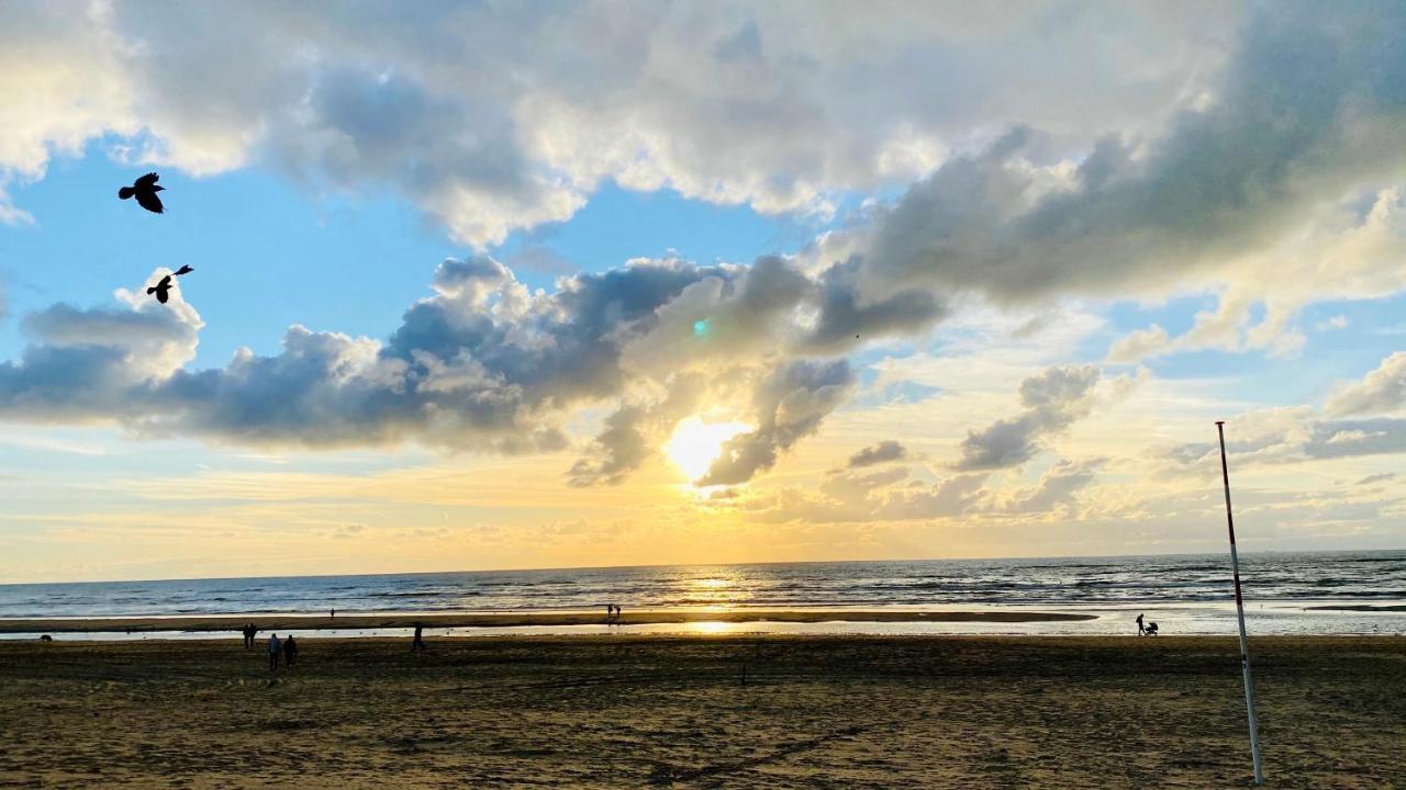 Mevira Appartement Zandvoort Eksteriør billede